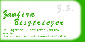 zamfira bisztriczer business card